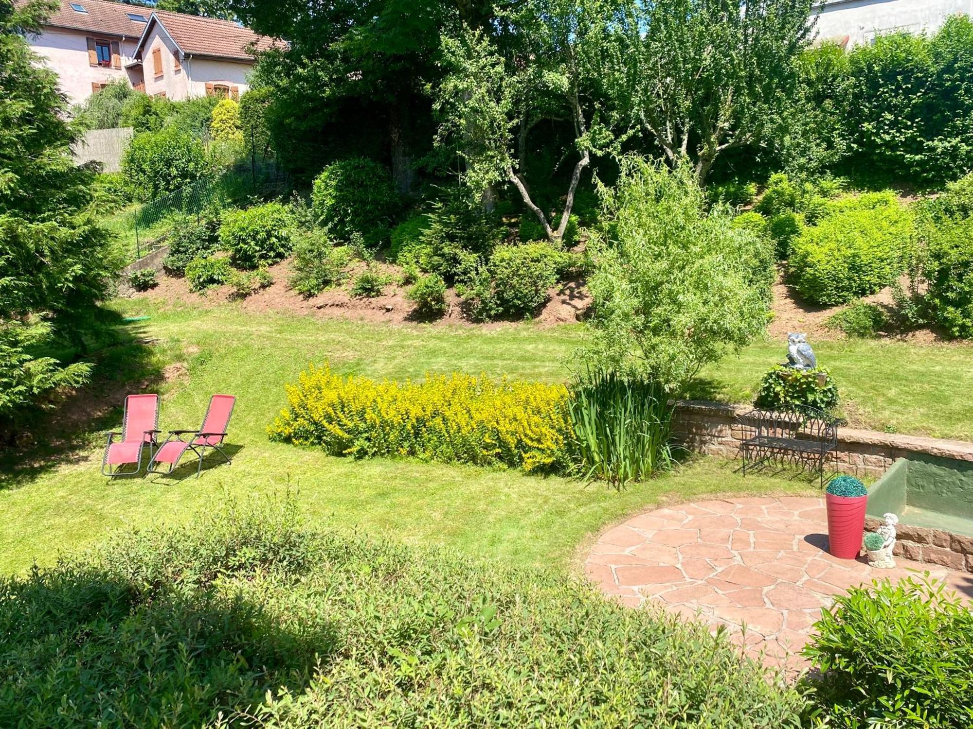 Le Gîte de Brigitte ! Saint-Die-des-Vosges Extérieur photo